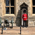 IMG_5018.jpeg
