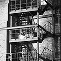 IMG_2733.jpeg