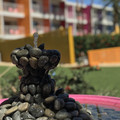 IMG_2875.jpeg