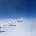 IMG_0980.jpeg