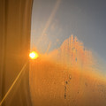 IMG_1501.jpeg