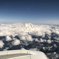 IMG_7955.jpeg