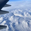 IMG_8123.jpeg