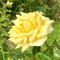 IMG_2612.jpeg