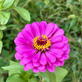 IMG_3019.jpeg
