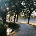 IMG_1205.jpeg