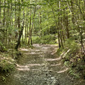 IMG_1549.jpeg