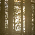 IMG_3731.jpeg
