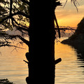 IMG_3768.jpeg