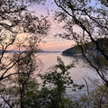 IMG_3793.jpeg