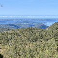 IMG_3984.jpeg