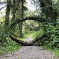 IMG_5096.jpeg
