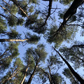 IMG_5175.jpeg