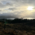 IMG_5436.jpeg