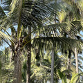 IMG_6945.jpeg