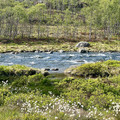 IMG_0179.jpeg