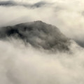 IMG_0348.jpeg