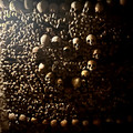 IMG_2963.jpeg