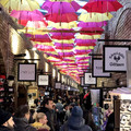 IMG_3511.jpeg