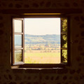 IMG_5912.jpeg