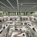 IMG_6291.jpeg