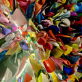 IMG_7347.jpeg