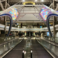 IMG_8285.jpeg
