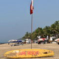 IMG_7388.jpeg