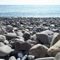 20191026_144723.JPG
