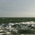 IMG_1364.jpeg