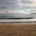 IMG_1700.jpeg