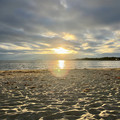 IMG_2069.jpeg