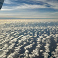 IMG_2490.jpeg