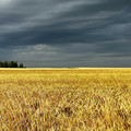 IMG_3196.jpeg