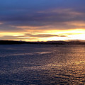 IMG_3796.jpg
