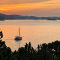 IMG_3810.jpeg