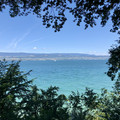 IMG_6053.jpeg
