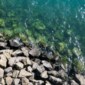 IMG_6106.jpeg