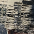IMG_6377.jpeg