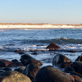 IMG_6439.jpeg