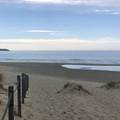 IMG_6822.jpeg