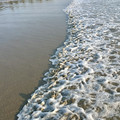 IMG_6987.jpeg