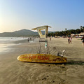 IMG_6990.jpeg