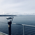 IMG_7773.jpeg