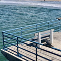 IMG_8074.jpeg