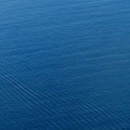 IMG_8166.jpeg