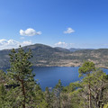 IMG_9298.jpeg