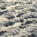 IMG_2499.JPG