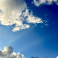 IMG_2890 2.jpeg