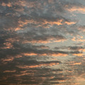 IMG_7155.jpeg